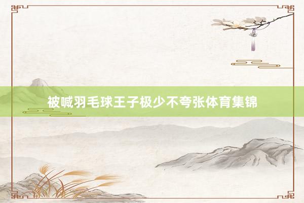 被喊羽毛球王子极少不夸张体育集锦