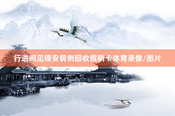 行进间见锡安弱侧回收假刷卡体育录像/图片