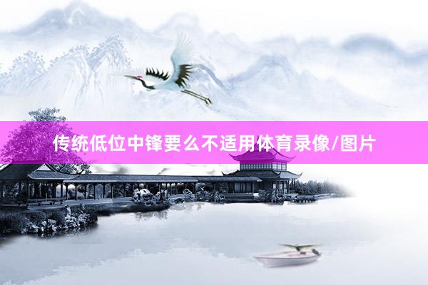 传统低位中锋要么不适用体育录像/图片