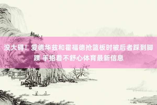没大碍！爱德华兹和霍福德抢篮板时被后者踩到脚踝 手捂着不舒心体育最新信息