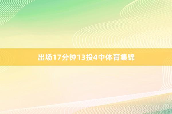 出场17分钟13投4中体育集锦