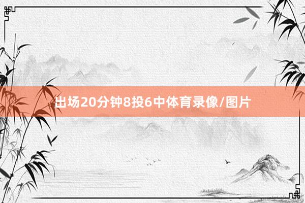 出场20分钟8投6中体育录像/图片