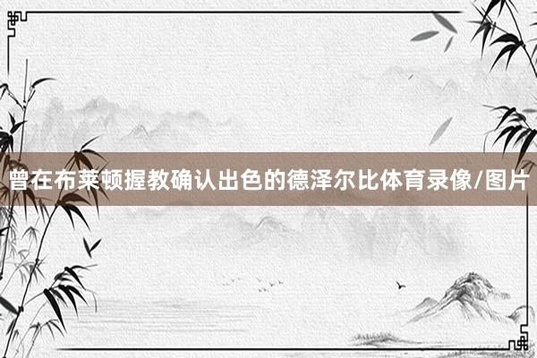 曾在布莱顿握教确认出色的德泽尔比体育录像/图片