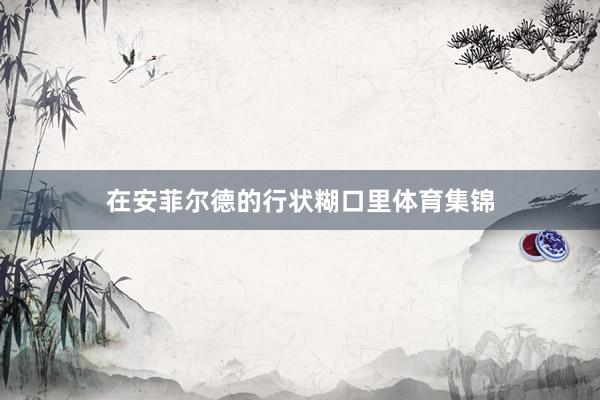 在安菲尔德的行状糊口里体育集锦
