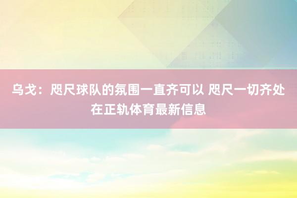 乌戈：咫尺球队的氛围一直齐可以 咫尺一切齐处在正轨体育最新信息