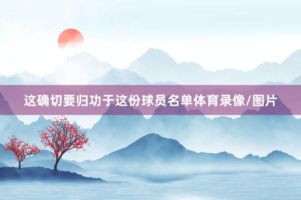 这确切要归功于这份球员名单体育录像/图片