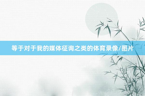 等于对于我的媒体征询之类的体育录像/图片