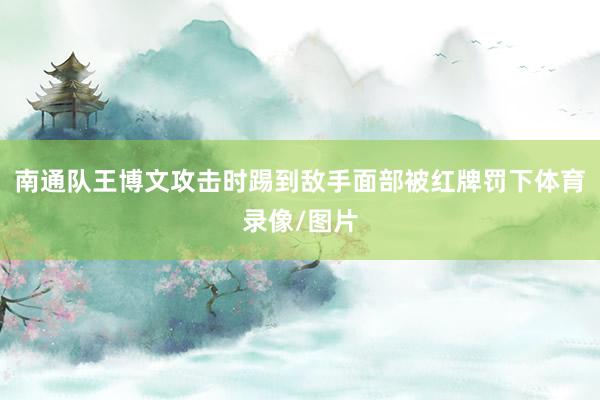 南通队王博文攻击时踢到敌手面部被红牌罚下体育录像/图片