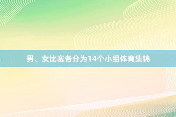 男、女比赛各分为14个小组体育集锦