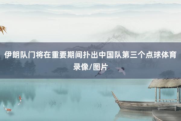 伊朗队门将在重要期间扑出中国队第三个点球体育录像/图片