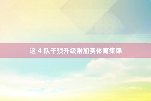 这 4 队干预升级附加赛体育集锦