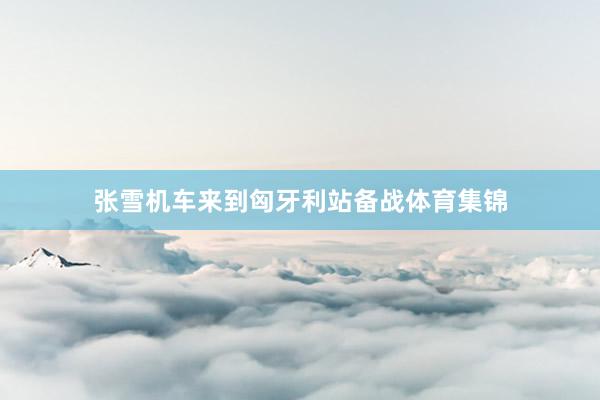 张雪机车来到匈牙利站备战体育集锦