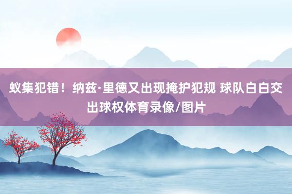 蚁集犯错！纳兹·里德又出现掩护犯规 球队白白交出球权体育录像/图片