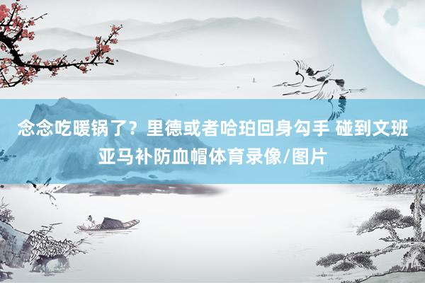 念念吃暖锅了？里德或者哈珀回身勾手 碰到文班亚马补防血帽体育录像/图片