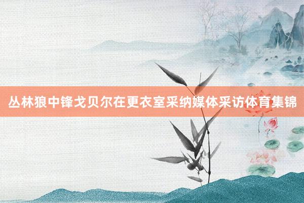 丛林狼中锋戈贝尔在更衣室采纳媒体采访体育集锦