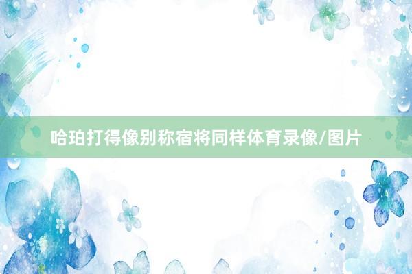 哈珀打得像别称宿将同样体育录像/图片