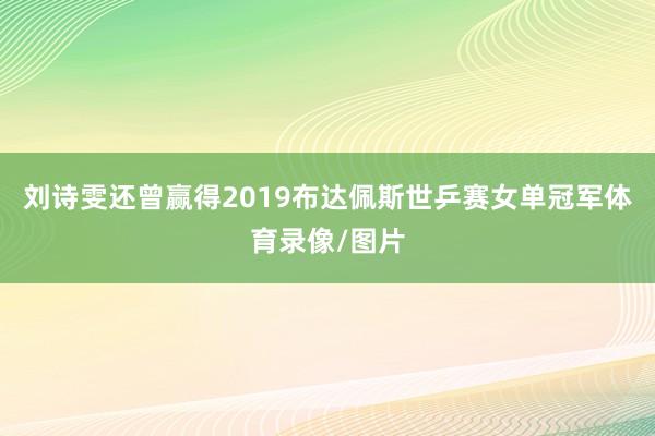 刘诗雯还曾赢得2019布达佩斯世乒赛女单冠军体育录像/图片