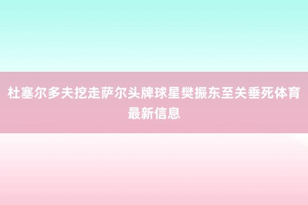 杜塞尔多夫挖走萨尔头牌球星樊振东至关垂死体育最新信息