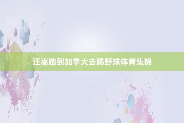 汪嵩跑到加拿大去踢野球体育集锦