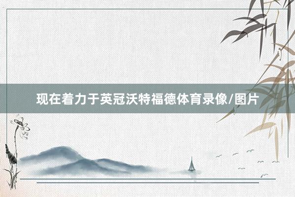 现在着力于英冠沃特福德体育录像/图片