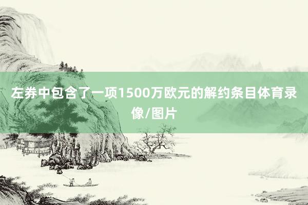 左券中包含了一项1500万欧元的解约条目体育录像/图片