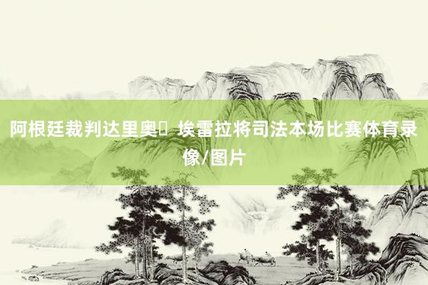 阿根廷裁判达里奥・埃雷拉将司法本场比赛体育录像/图片