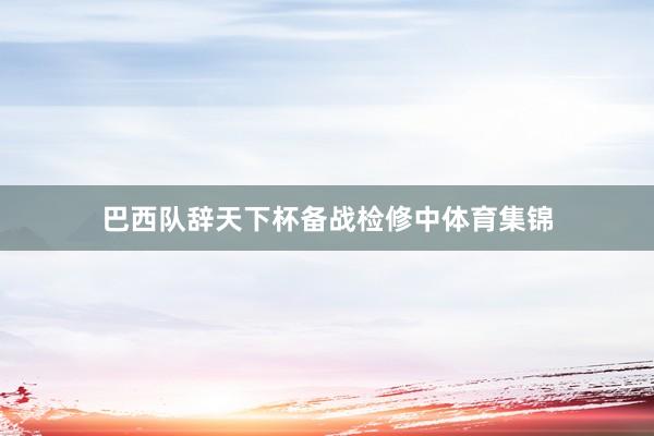 巴西队辞天下杯备战检修中体育集锦